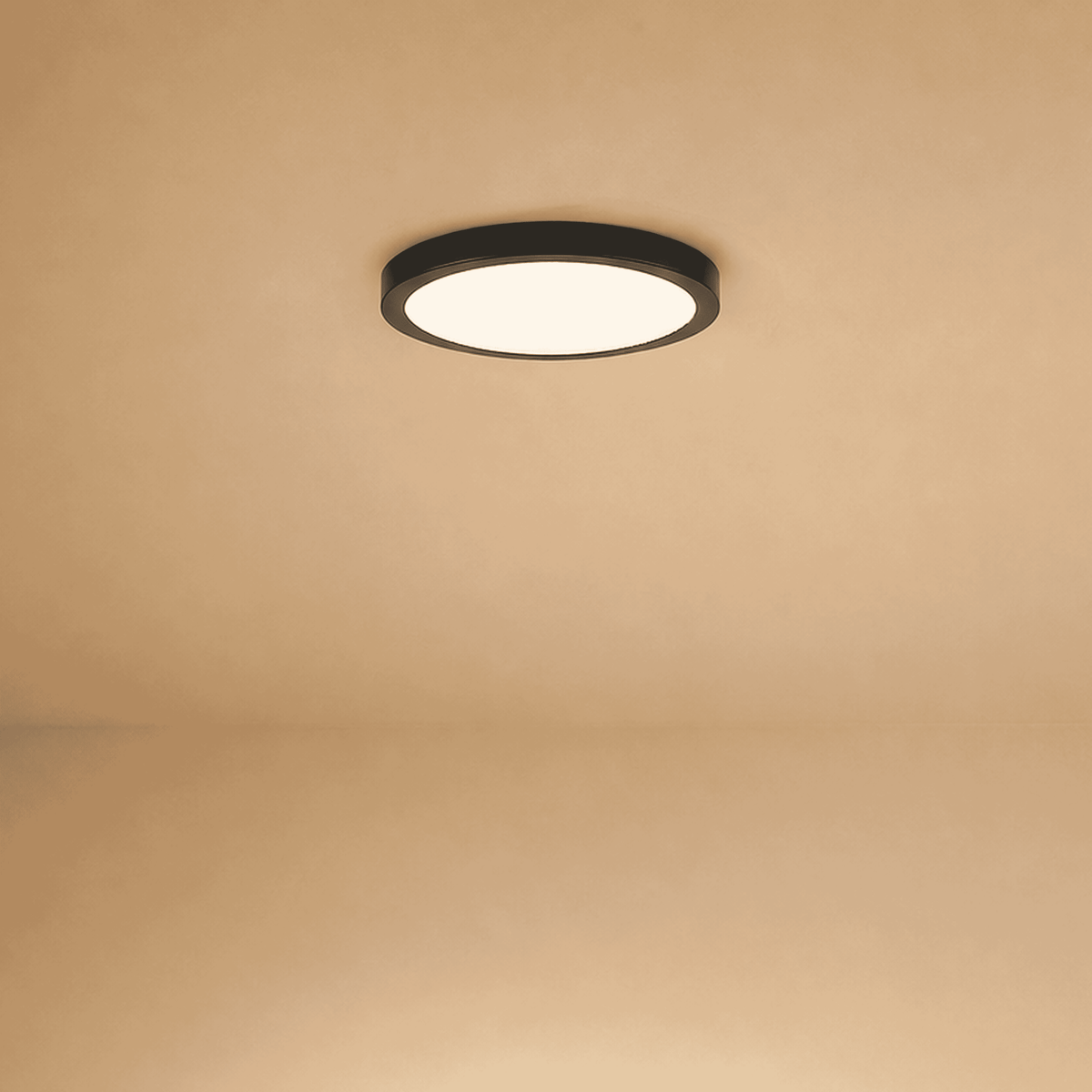 Savoy House 6-3333-10-BK LED Plafonnier en noir