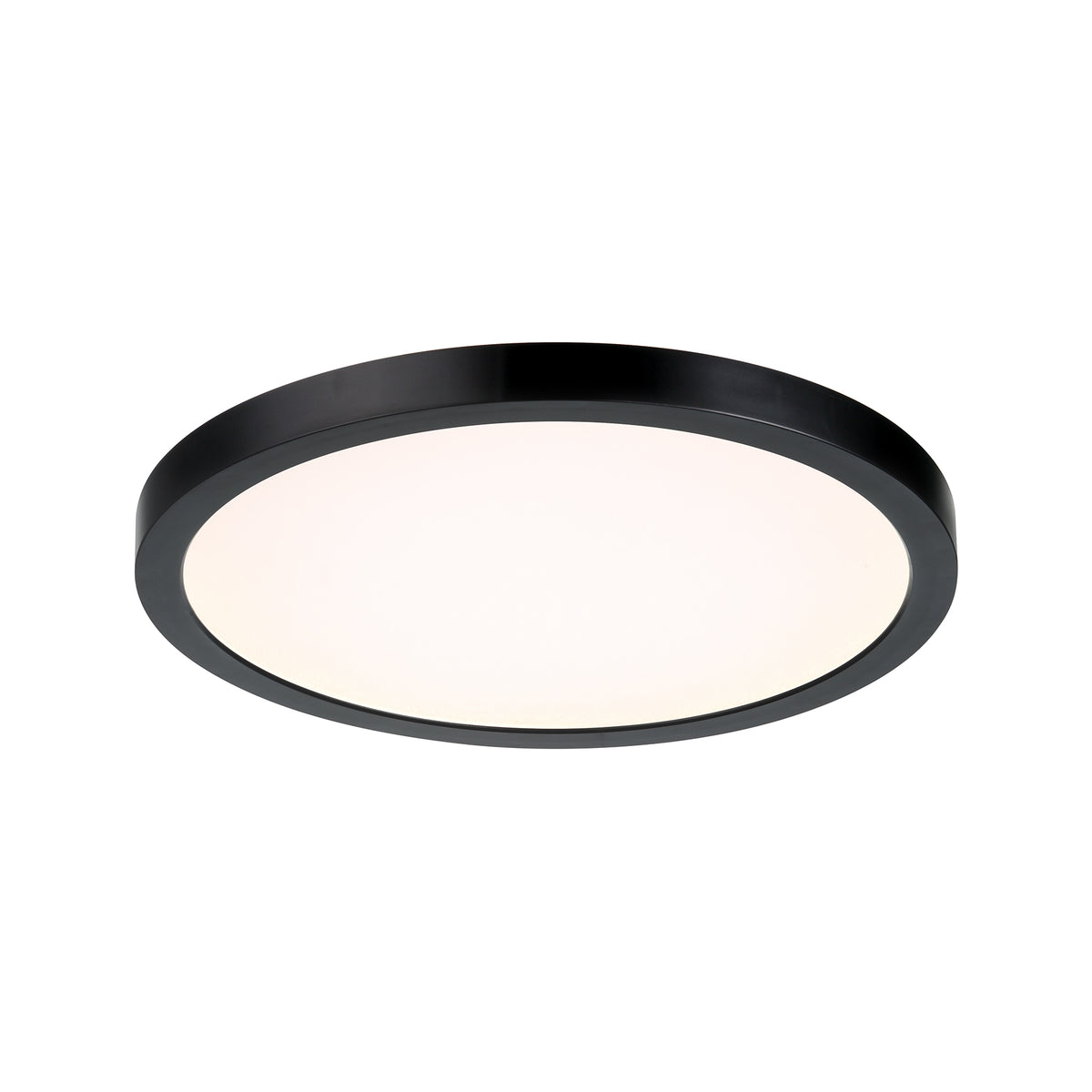 Savoy House 6-3333-12-BK LED Plafonnier en noir
