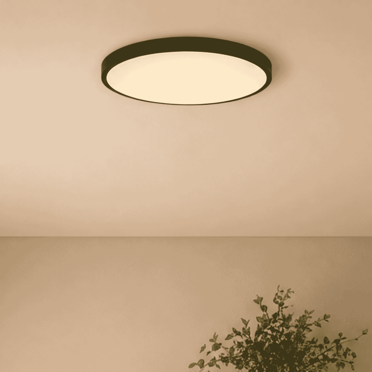 Savoy House 6-3333-20-BK LED Plafonnier en noir