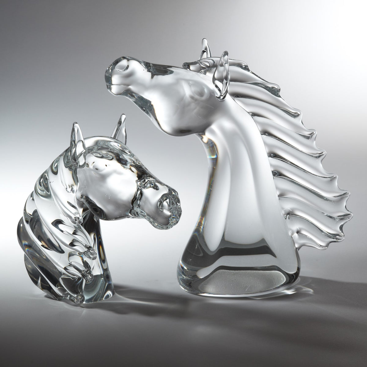 Tête de cheval pur-sang