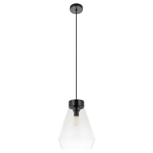 Montey Suspension