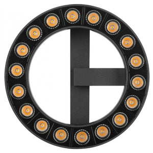 Descriptive image text