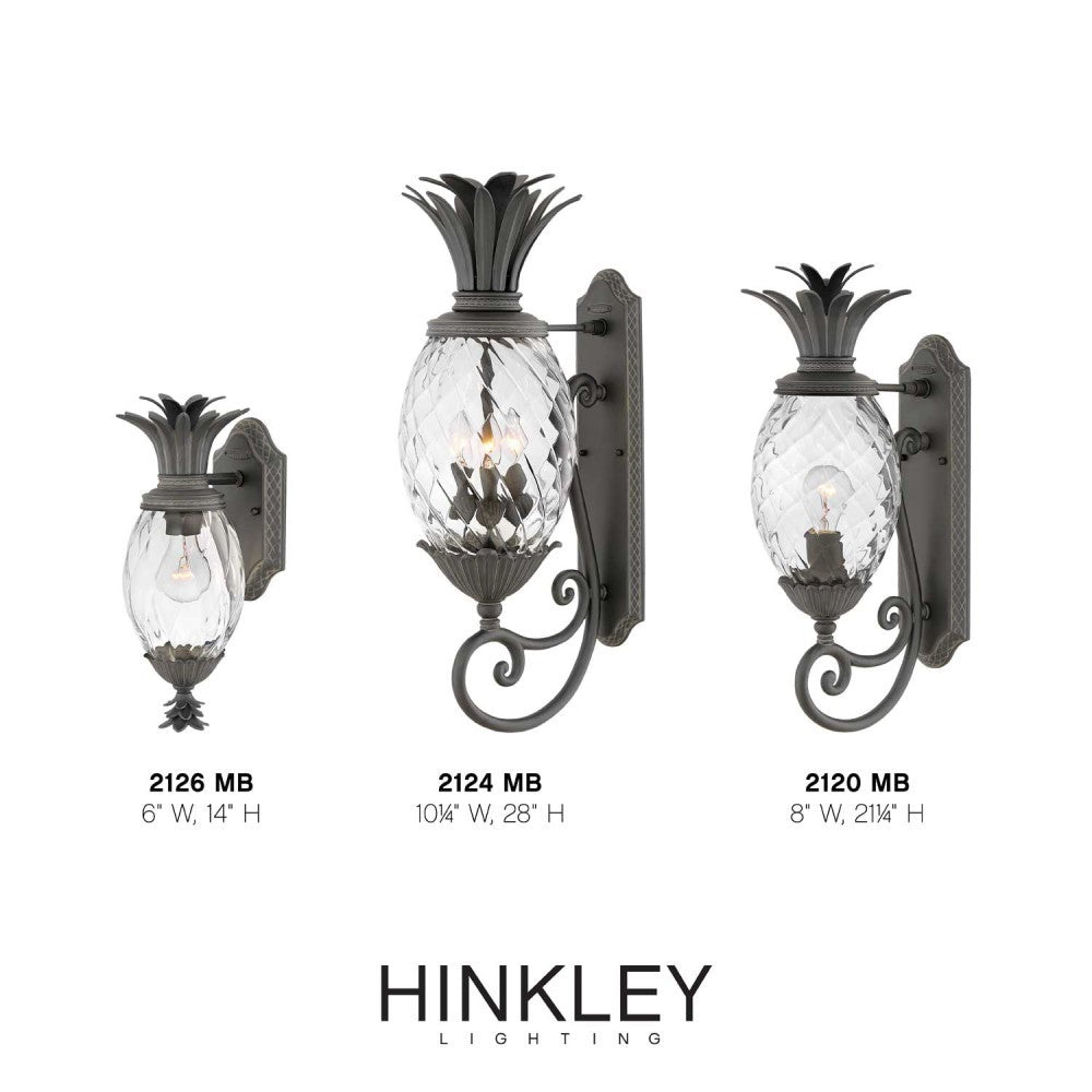 Lanterne murale Hinkley Lighting 2126MB Plantation, coloris Museum Black