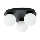 Thesis Lighting 207114A Castrovido Flush Mount in Matte Black
