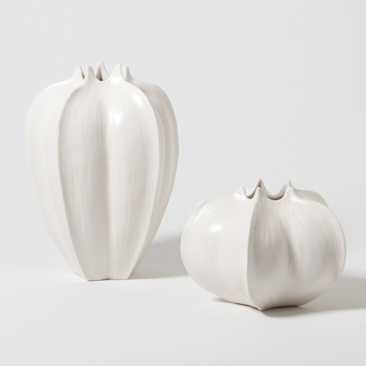 Vases à caramboles