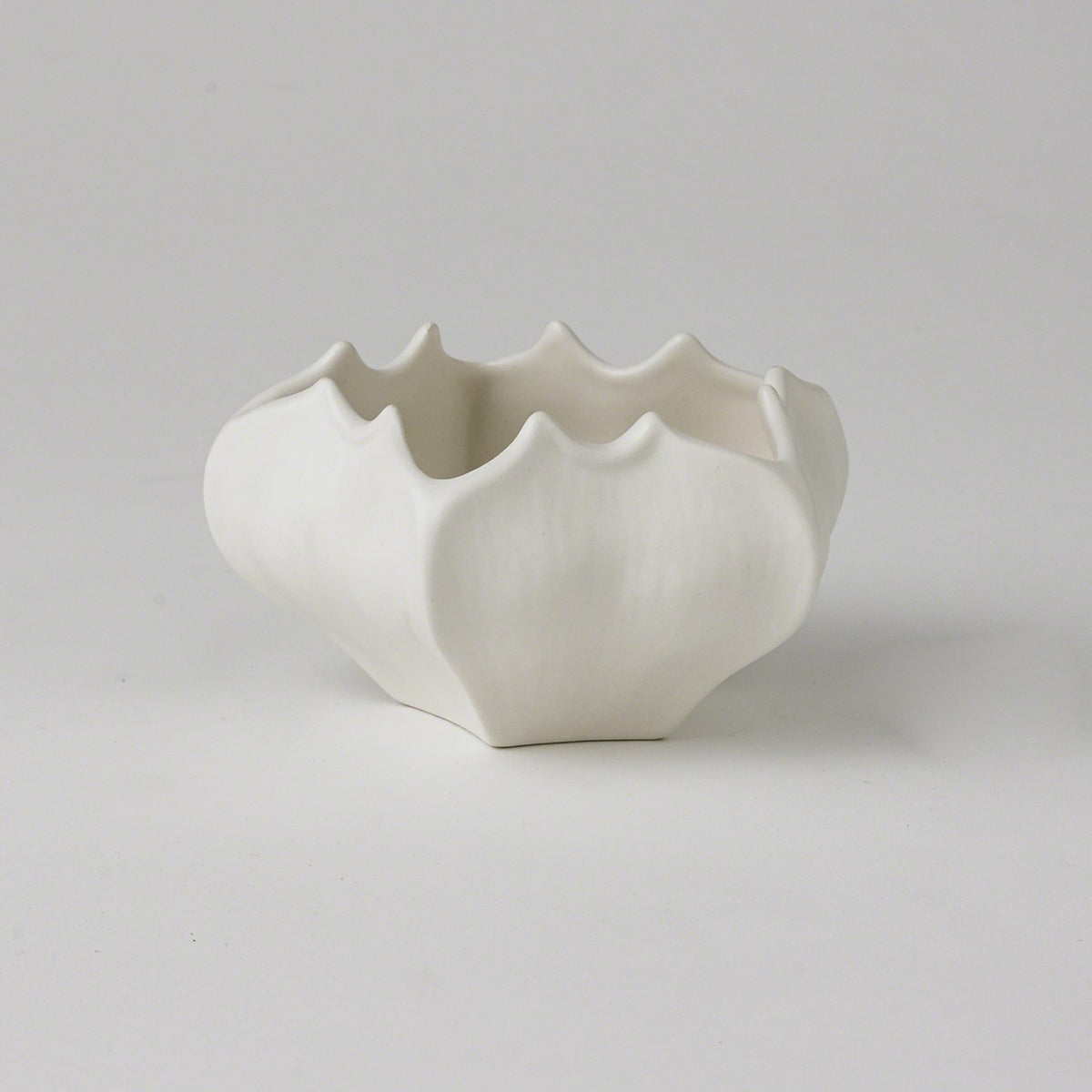 Mini bol de fruits étoilés