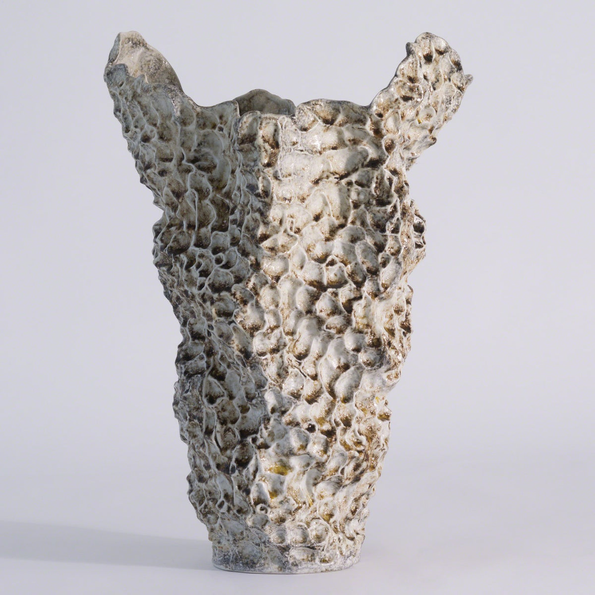 Vase de la barrière de corail