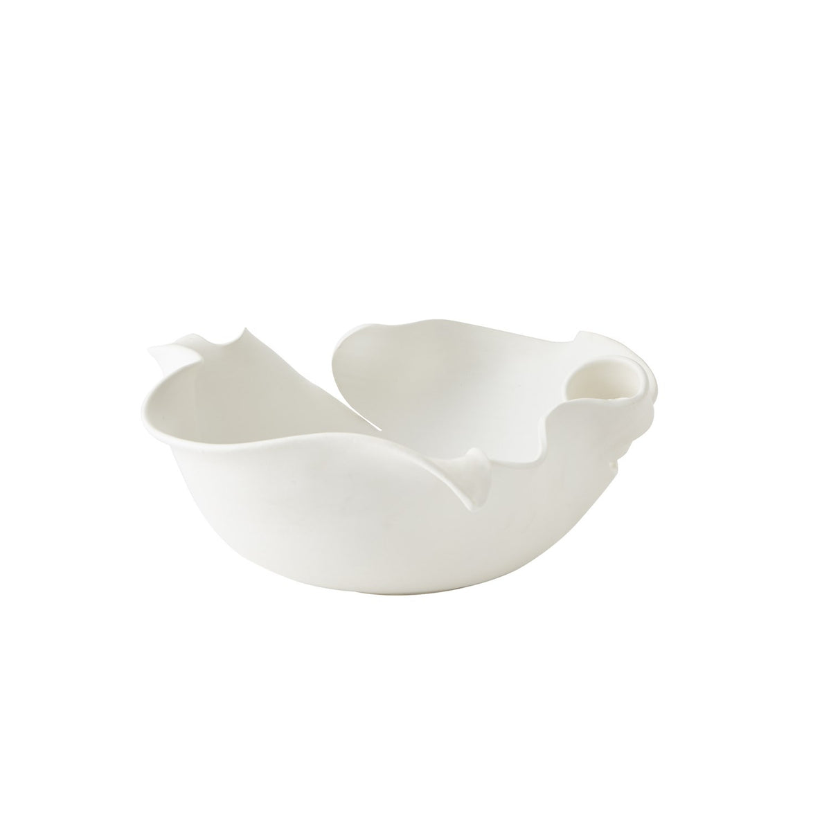 Charlotte Collection