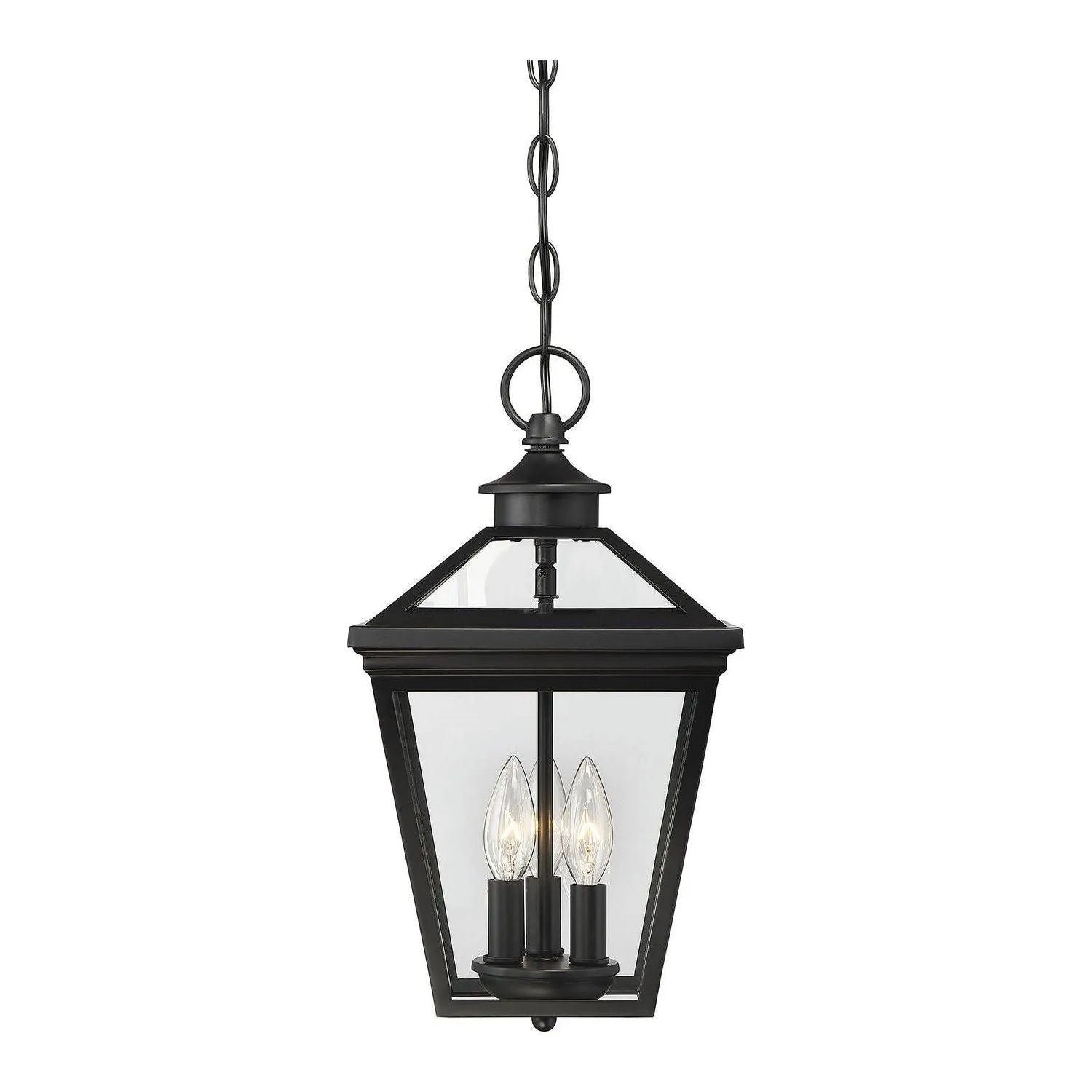 Savoy House - 5-146-BK - Three Light Hanging Lantern - Ellijay - Black