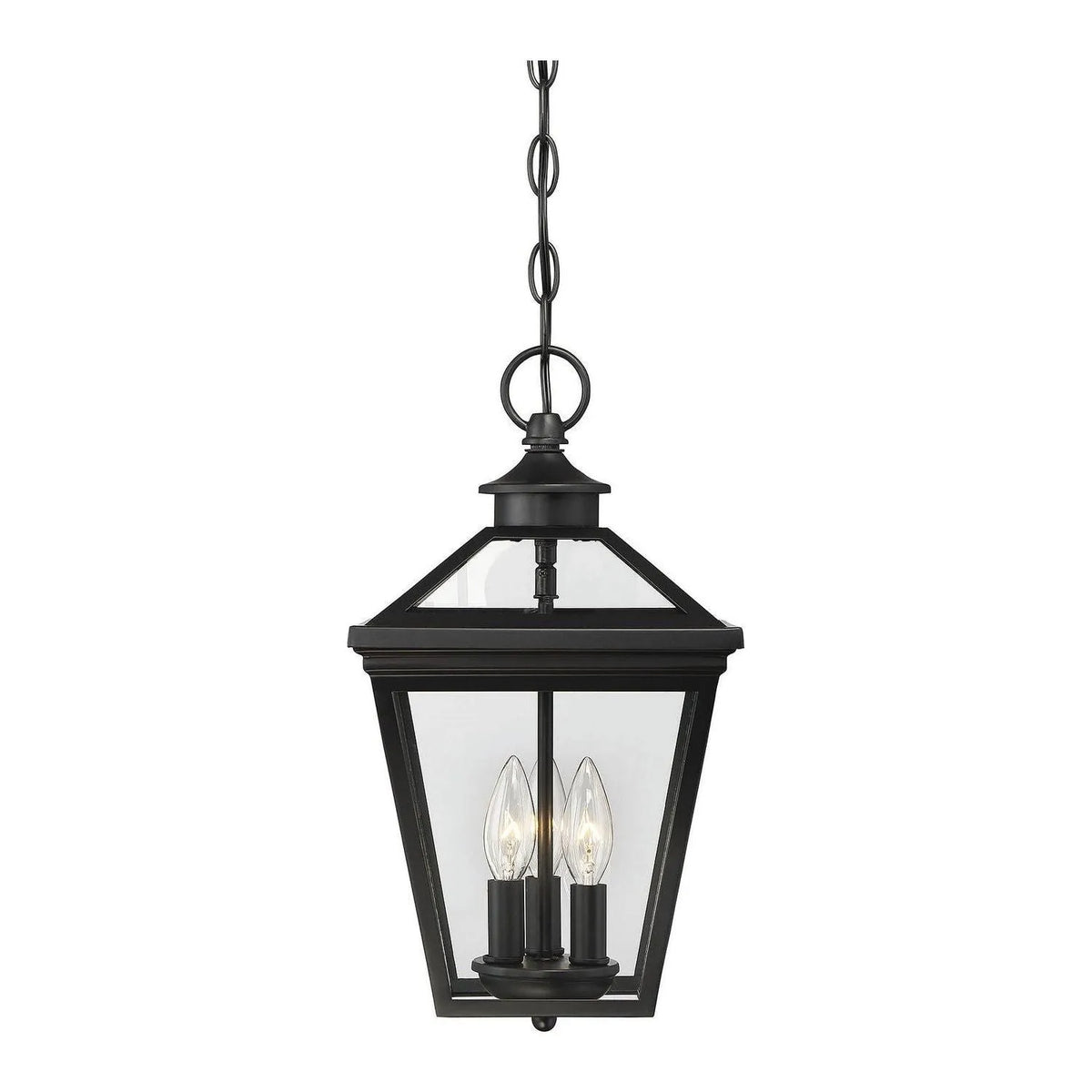 Savoy House - 5-146-BK - Three Light Hanging Lantern - Ellijay - Black