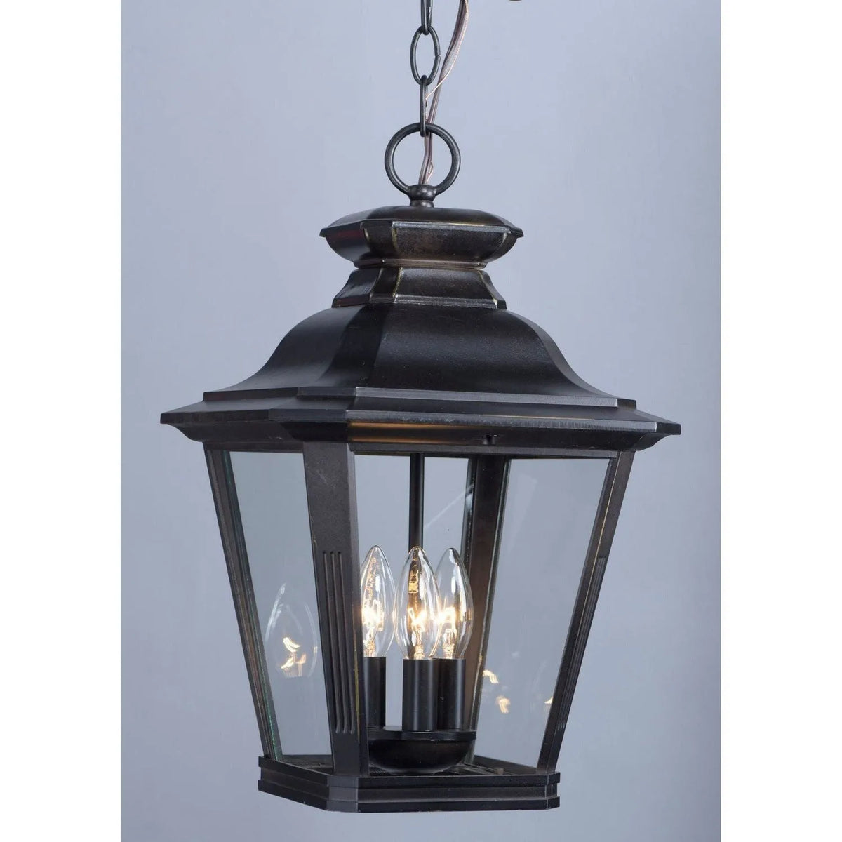 Knoxville Outdoor Hanging Lantern