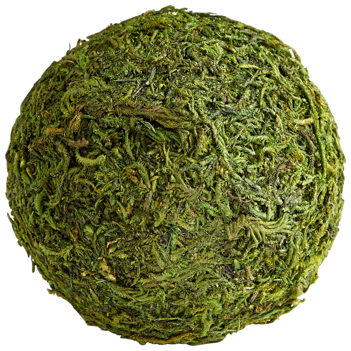 Cyan Canada - 07298 - Filler - Bermuda - Green Moss