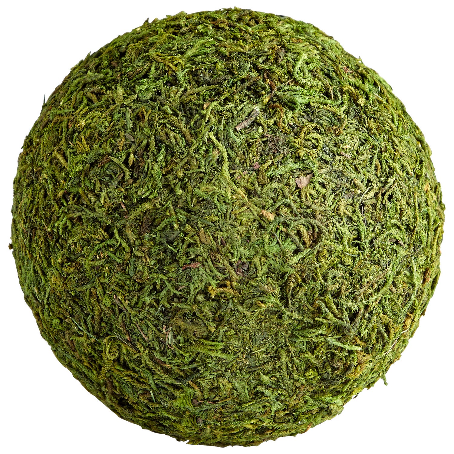 Cyan Canada - 07299 - Filler - Bermuda - Green Moss