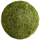 Cyan Canada - 07299 - Remplissage - Bermudes - Mousse verte