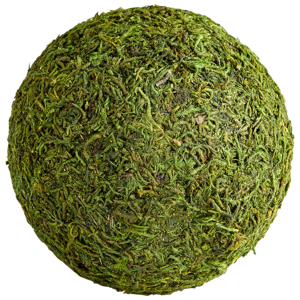 Cyan Canada - 07299 - Filler - Bermuda - Green Moss