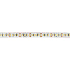Dainolite Canada - SDLT-14430 - LED Tape Light - White