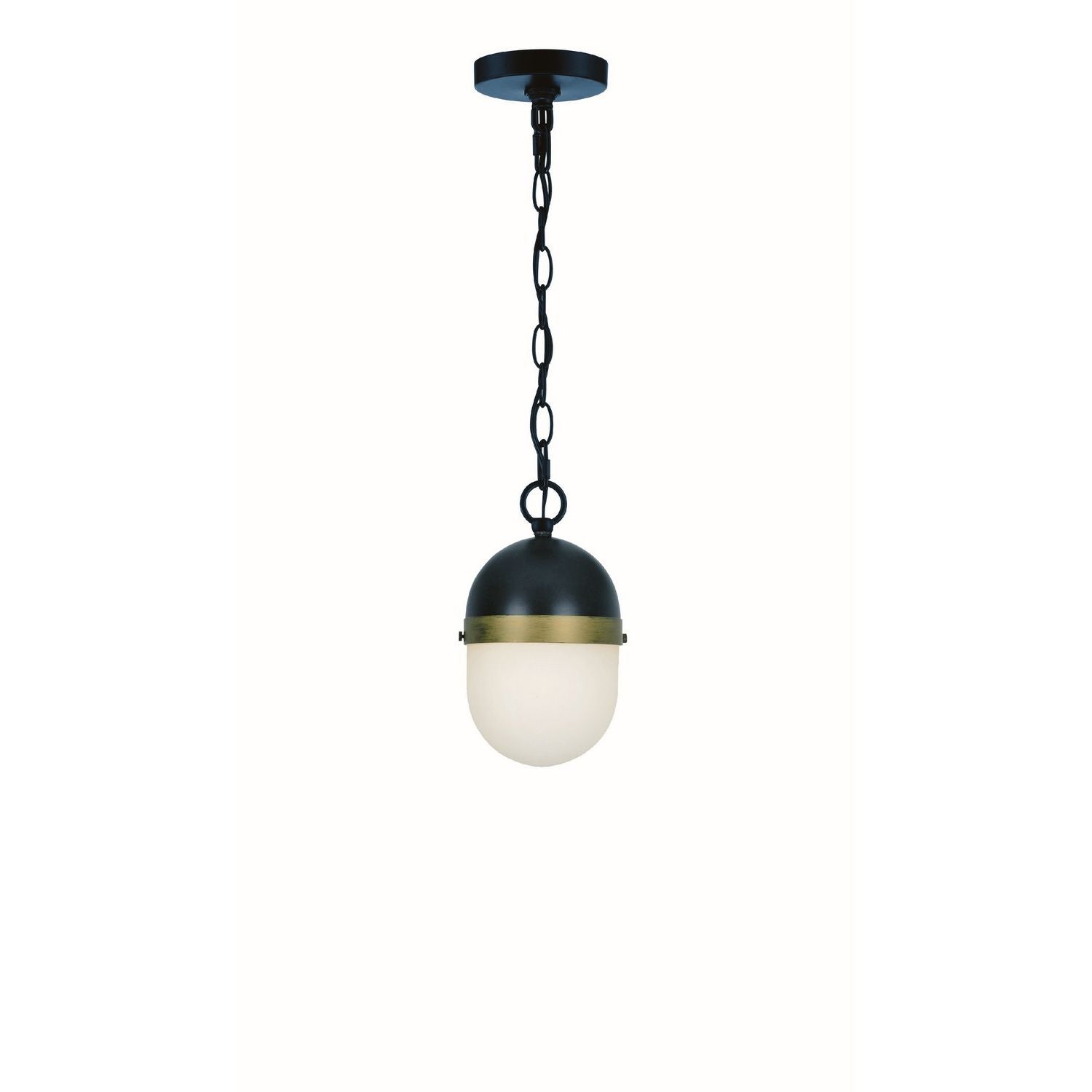 Crystorama - CAP-8505-MK-TG - One Light Outdoor Pendant - Capsule - Matte Black / Textured Gold