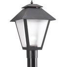 Generation Lighting 82065-12 Outdoor 10.5" Polycarbonate Post Latern