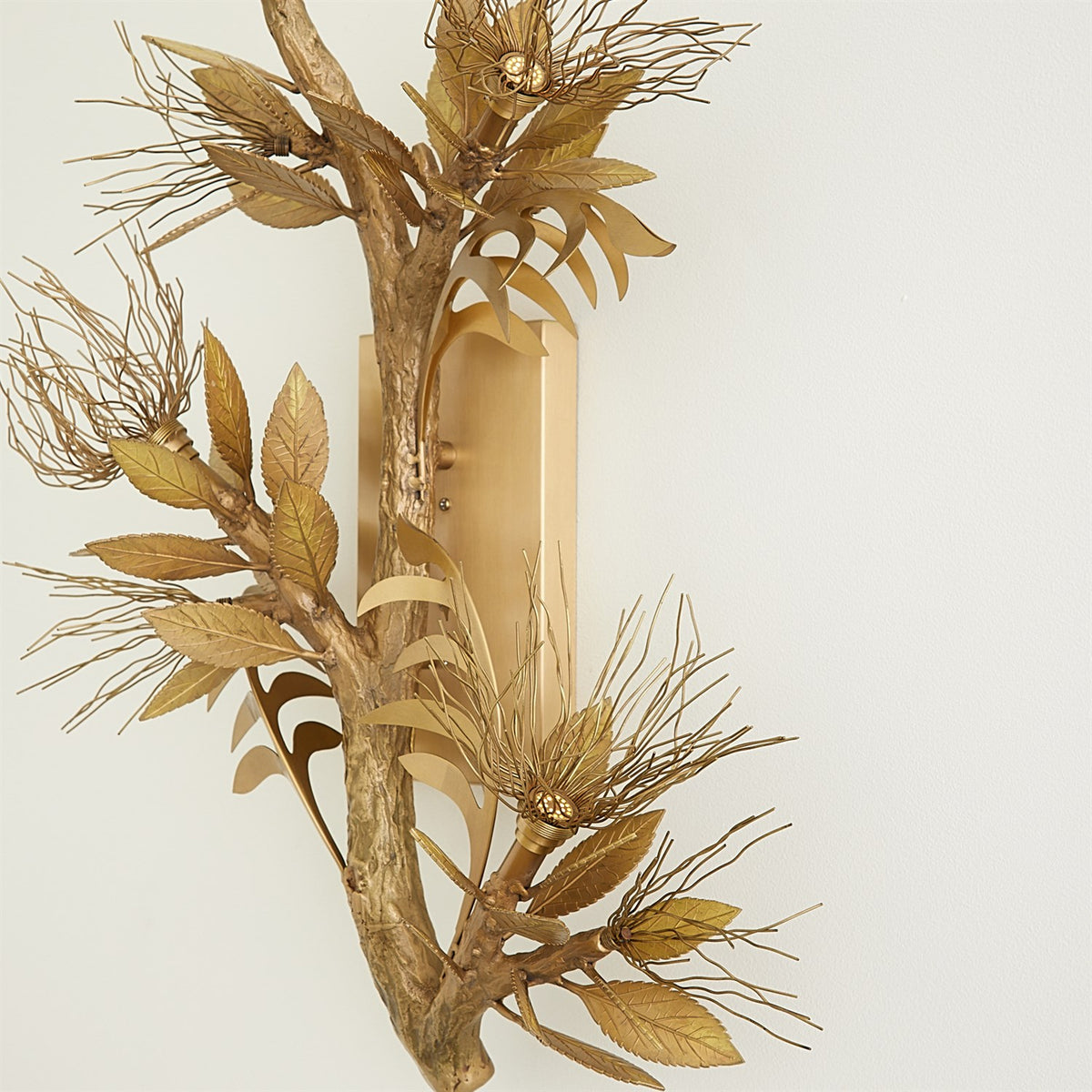 Albizia Wall Sconce