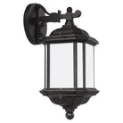 Generation Lighting 84530EN3-746 Kent Up/Down Lantern