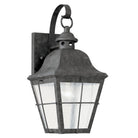 Generation Lighting 8462EN7-46 Chatham 14.5" Lantern