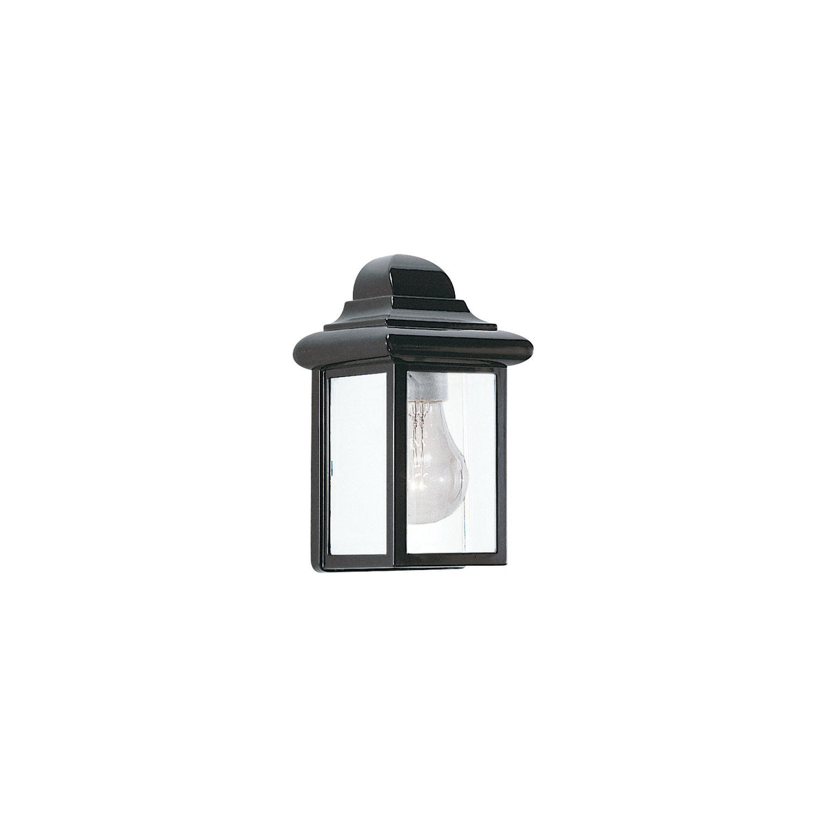 Generation Lighting 8588-12 Mullberry Hill One Light Outdoor Wall Lantern
