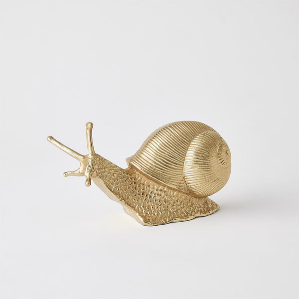 Snail