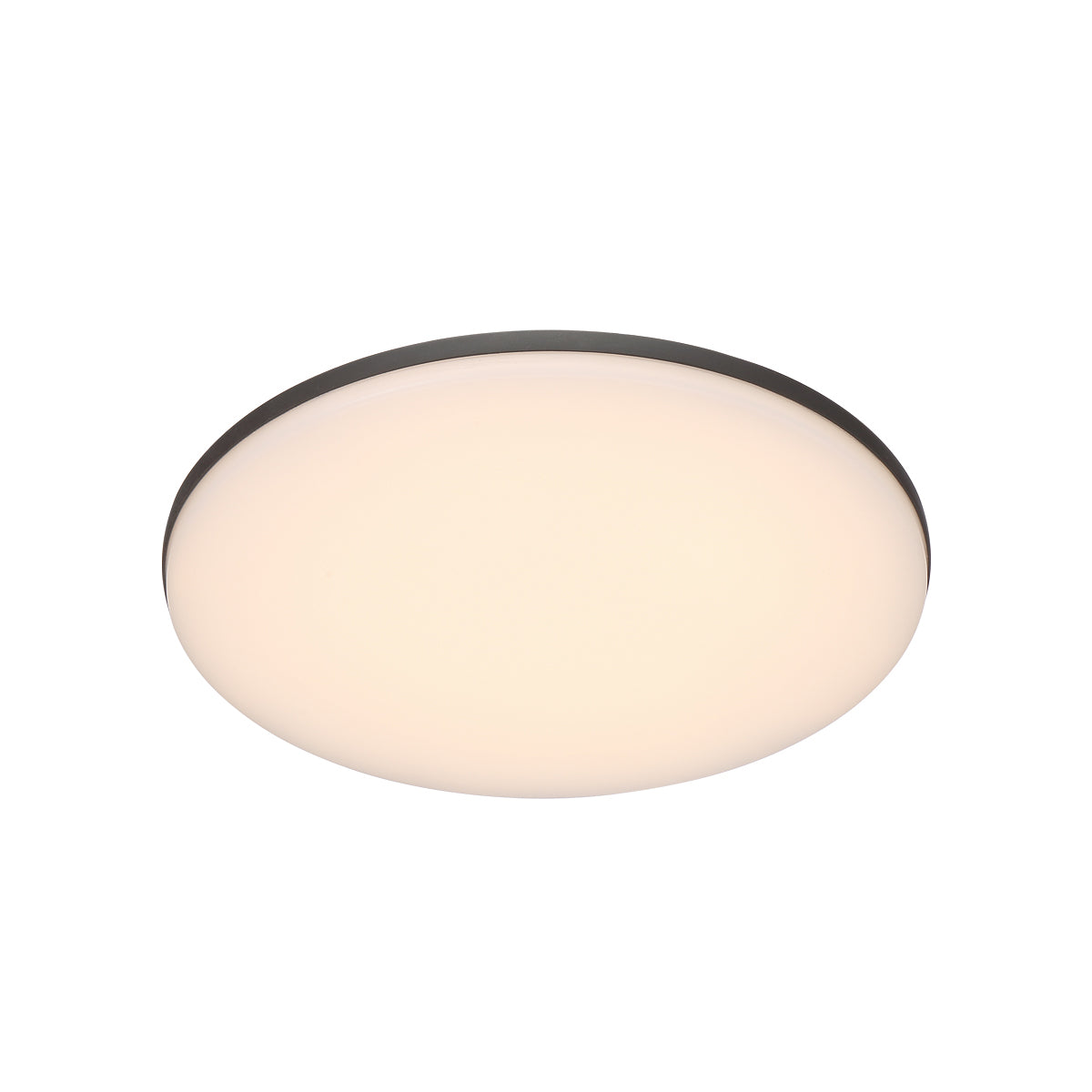 Eurofase  Above LED Round Outdoor Surface Mount