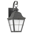 Generation Lighting 89062-46 Chatham 14.5" Lantern