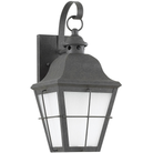 Generation Lighting 89062EN3-46 Chatham 14.5" Lantern