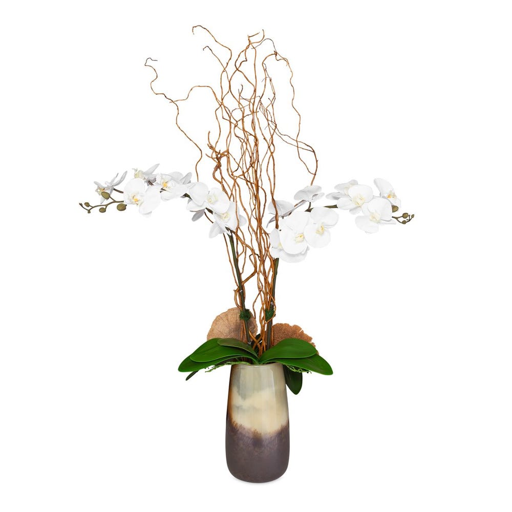 Earthbound Orchid Orchid With Vase