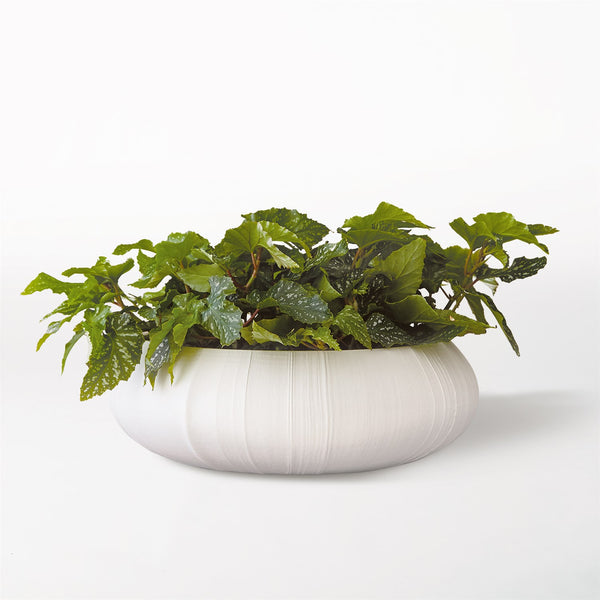 Linen Centerpiece
