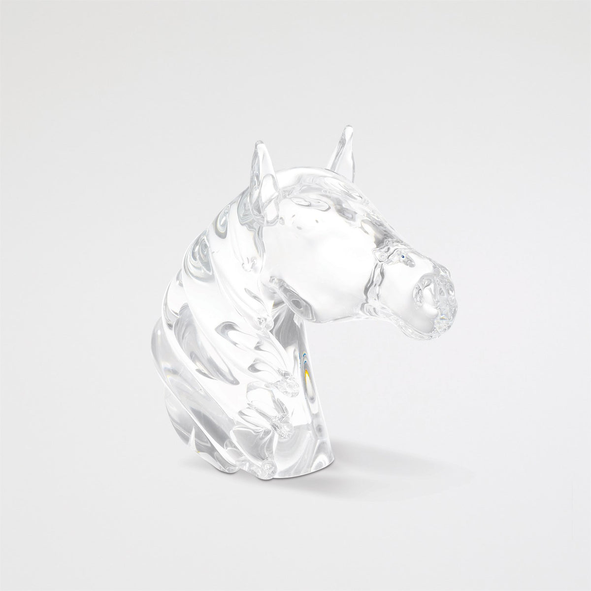 Tête de cheval pur-sang