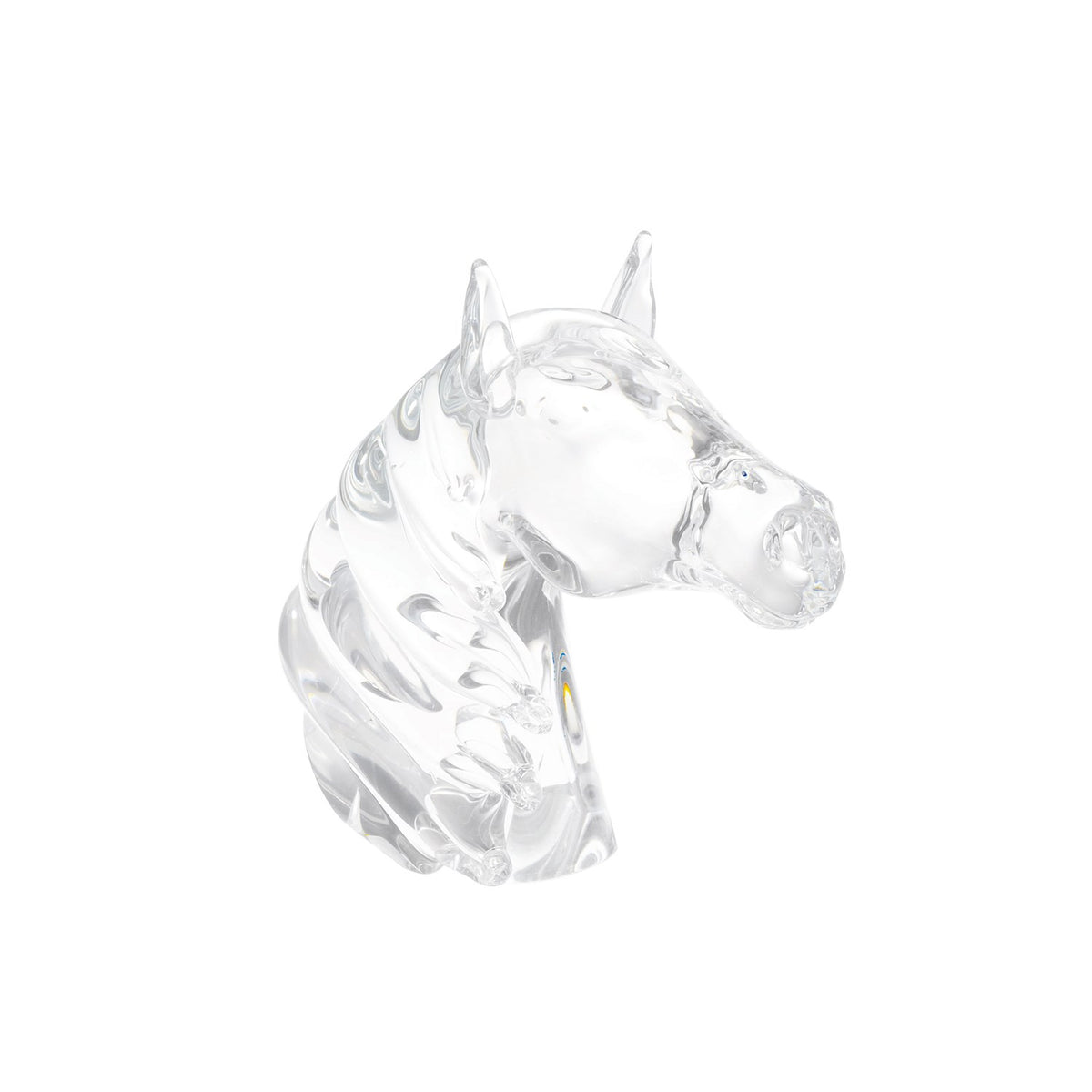 Tête de cheval pur-sang