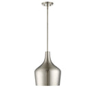 Meridian M70020BN One Light Pendant in Brushed Nickel
