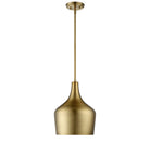 Meridian M70020NB One Light Pendant in Natural Brass