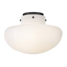 Lark 84491BK Molly Semi-Plafonnier en noir