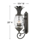 Lanterne murale Hinkley Lighting 2124MB Plantation, coloris Museum Black