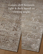 Loloi Rugs AYLNAYL-06GNBZ Aylin AYL-06 Granite / Bronze Area Rug in Granite / Bronze