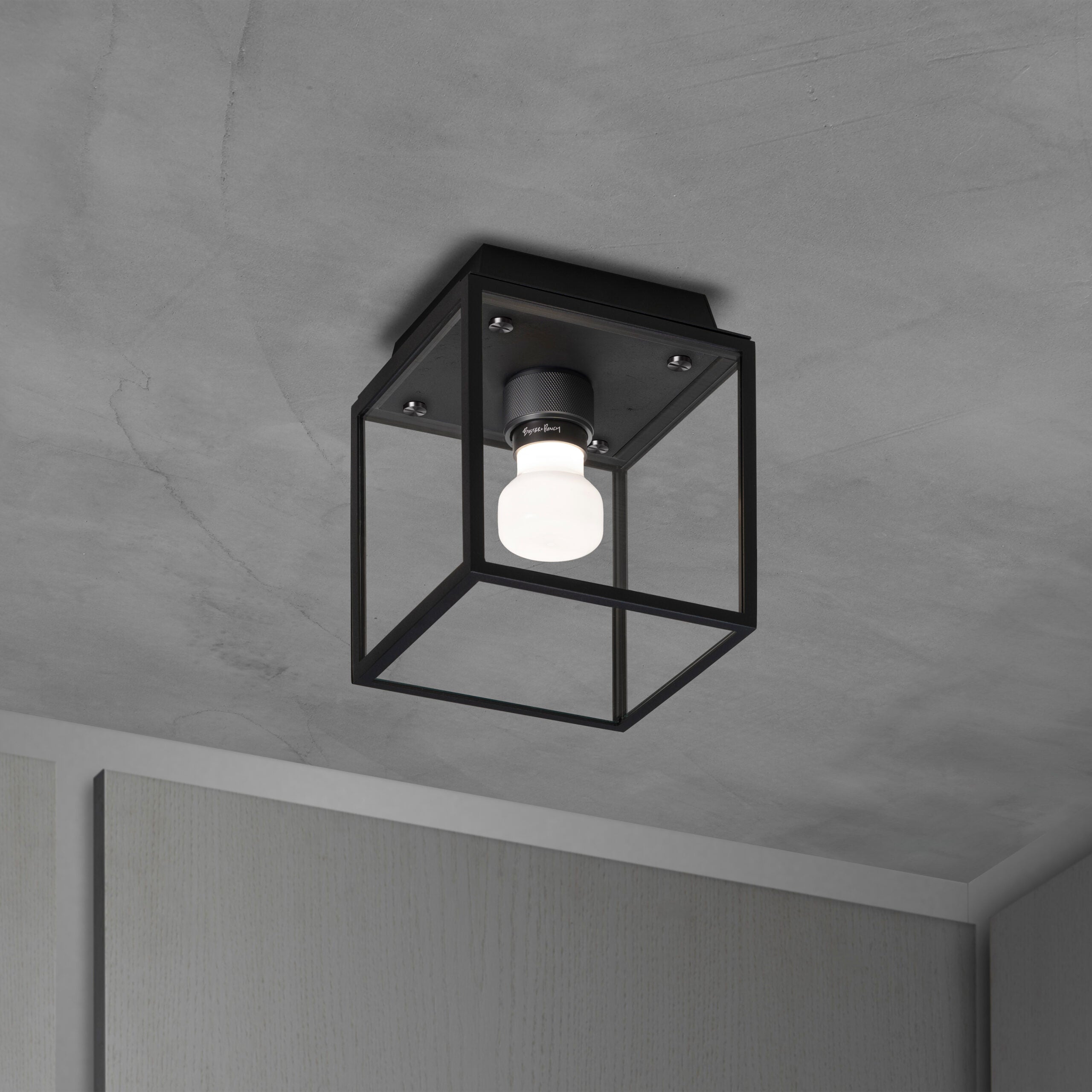 Buster + Punch - NCA-02684 - Caged Wet Ceiling Light - Caged Wet - Gun Metal
