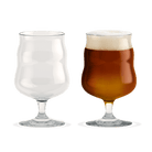 Holmegaard 4300542 Mikkeller Universal Beer Glass (Set of 2) in Clear