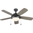 Visual Comfort Fan Collection 5DIC44AGPD-V1 Discus Classic 44" LED Ceiling Fan