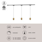 Kit de plafond LED Trilo TR3C-P89703-BG de Kuzco Lighting - Eloa en or brossé