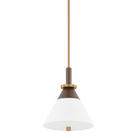 Troy Lighting F4212-PBR/BRZ STATON Pendant in Bronze