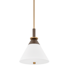 Troy Lighting F4216-PBR/BRZ STATON Pendant in Bronze