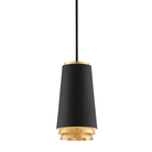 Troy Lighting F5541-TBK/VGL Fahrenheit Suspension en feuille d'or vintage