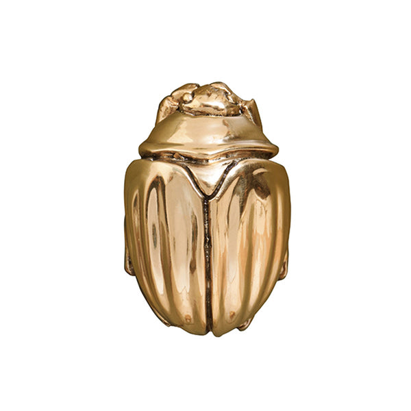 FORTUNE Beetle Knob