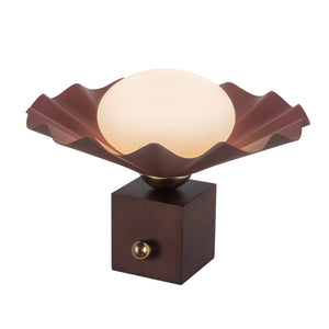 Descriptive image text