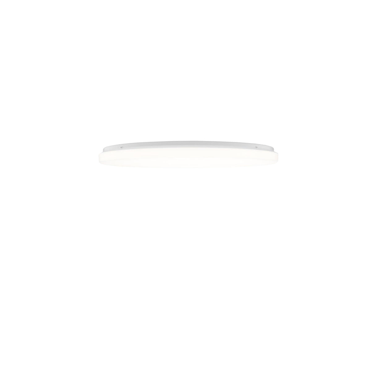 Flos - Clara LED Wall / Ceiling Light - No Trim | Montreal Lighting & Hardware