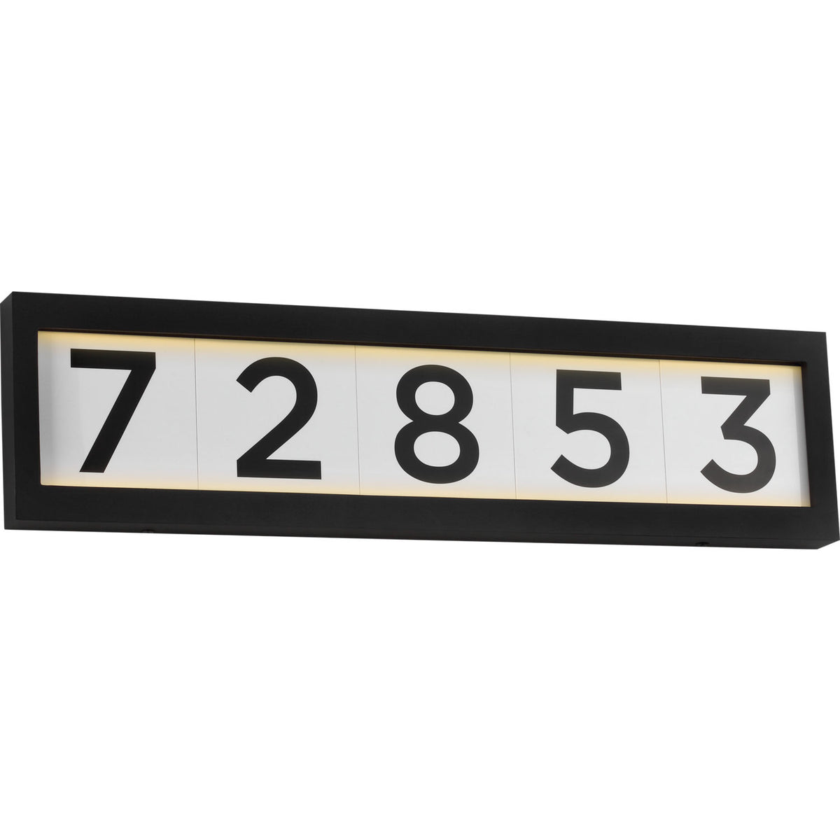 Generation Lighting GLO2151TXB LED Address Light